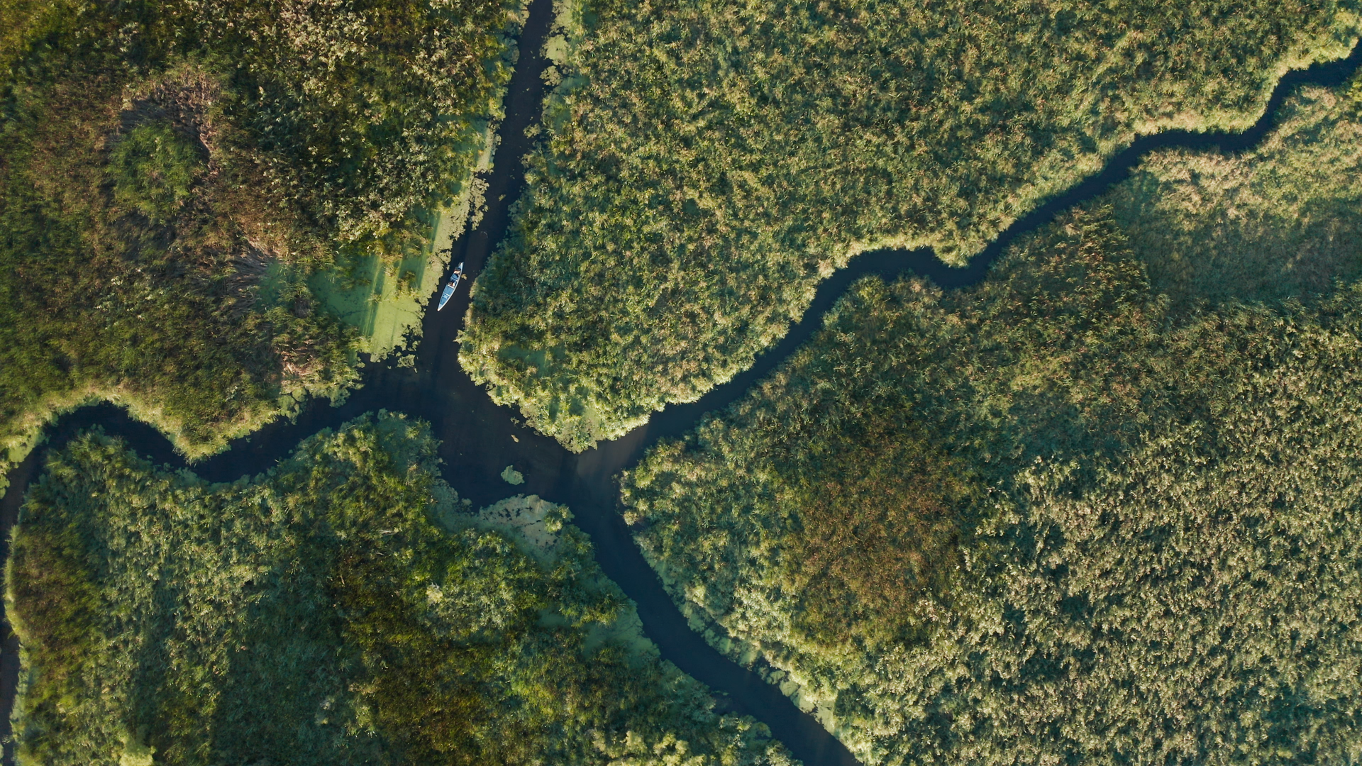 Aerial view of three rivers converging in a lush, densely vegetated area, forming a natural Y-shaped intersection.