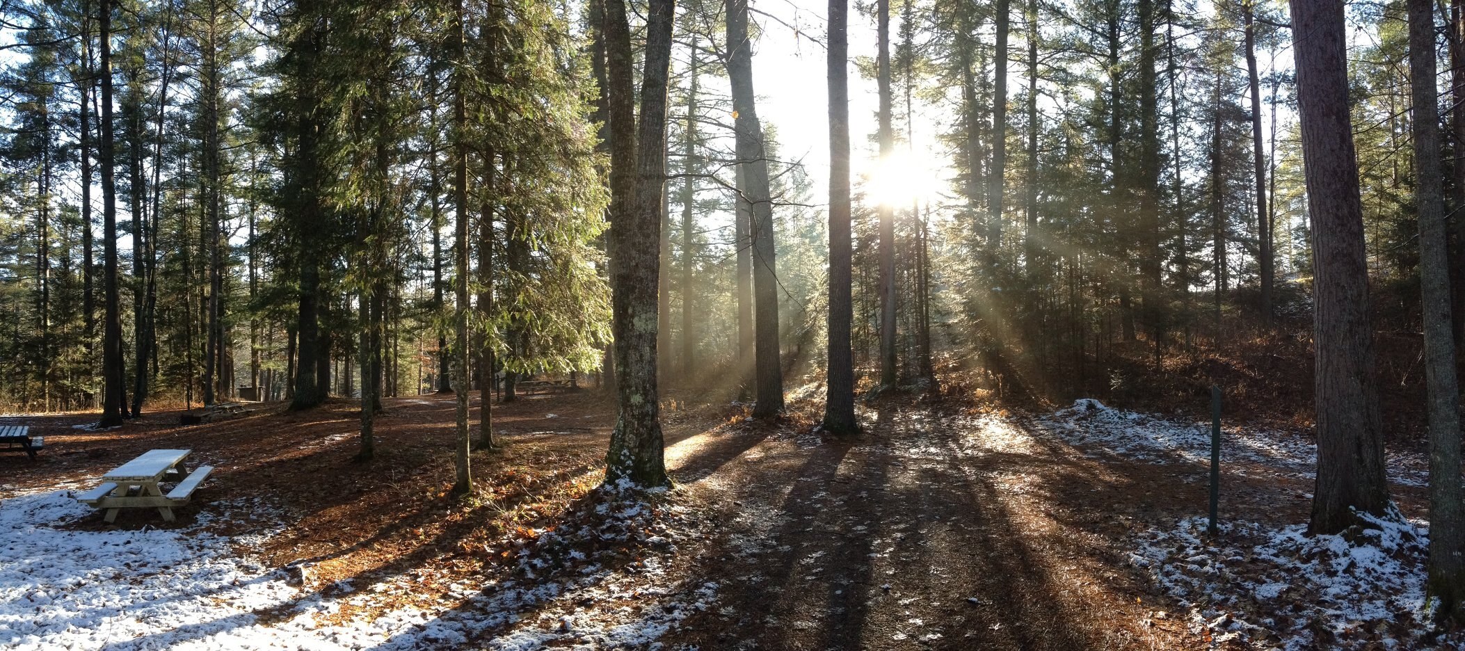 County forests abound in northern Wisconsin, but state aid for untaxed land lags behind inflation