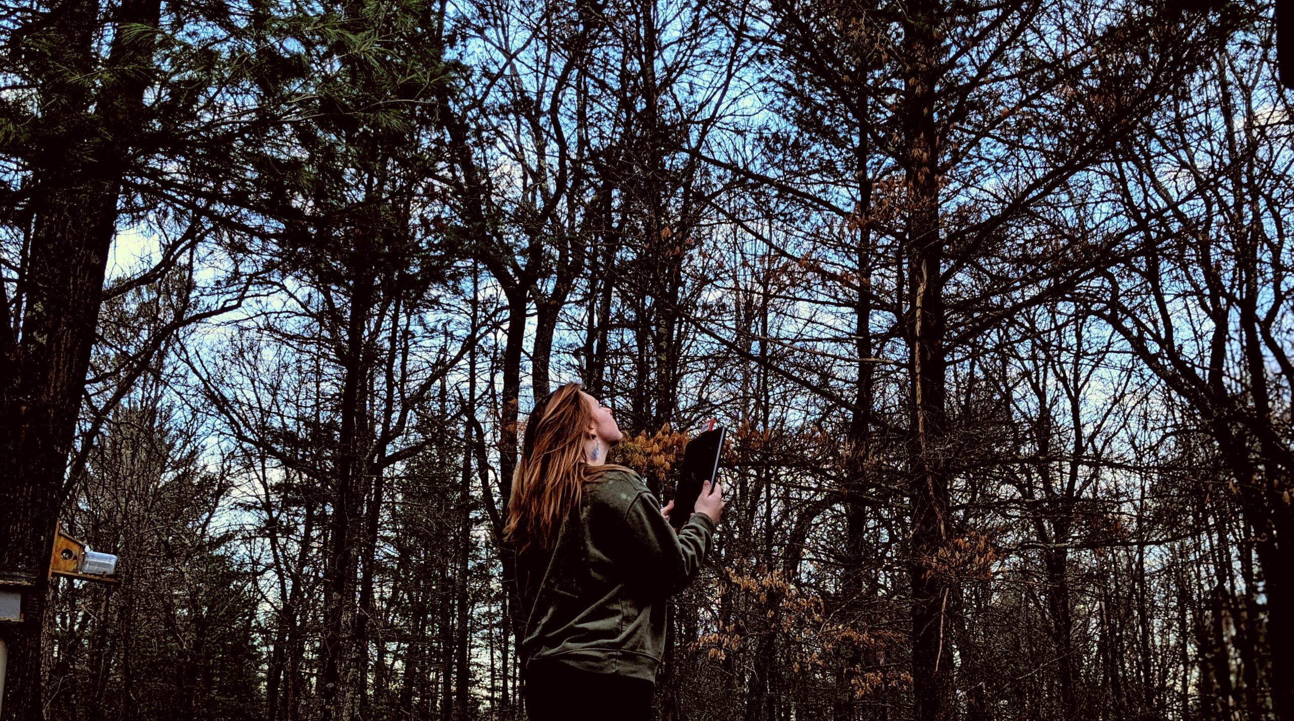 Person with long hair wearing a jacket stands in a forest holding a book, looking up at the trees. It is daytime with a clear sky.