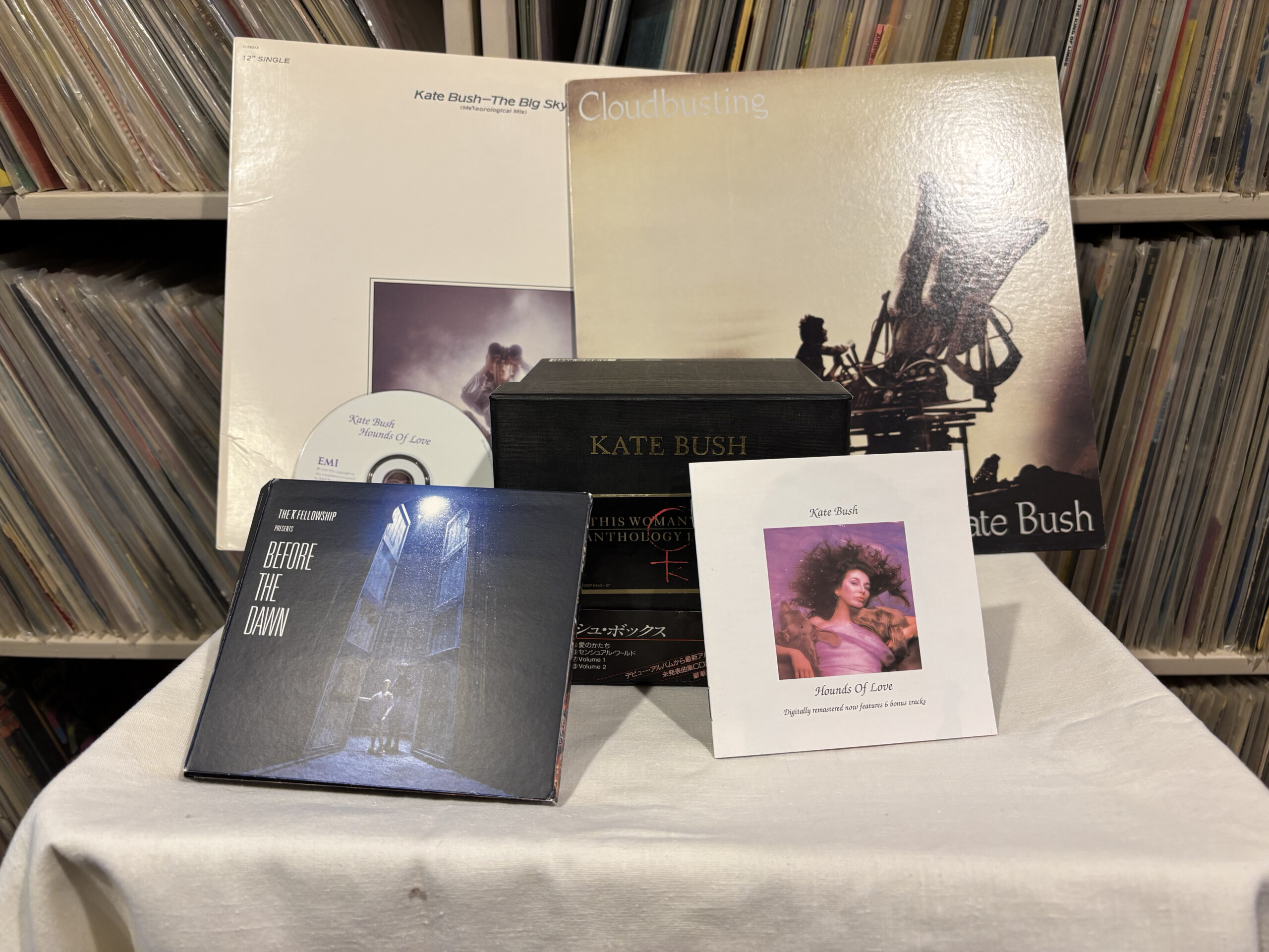 A collection of Kate Bush vinyl records and CDs are displayed on a white cloth, with records in the background.