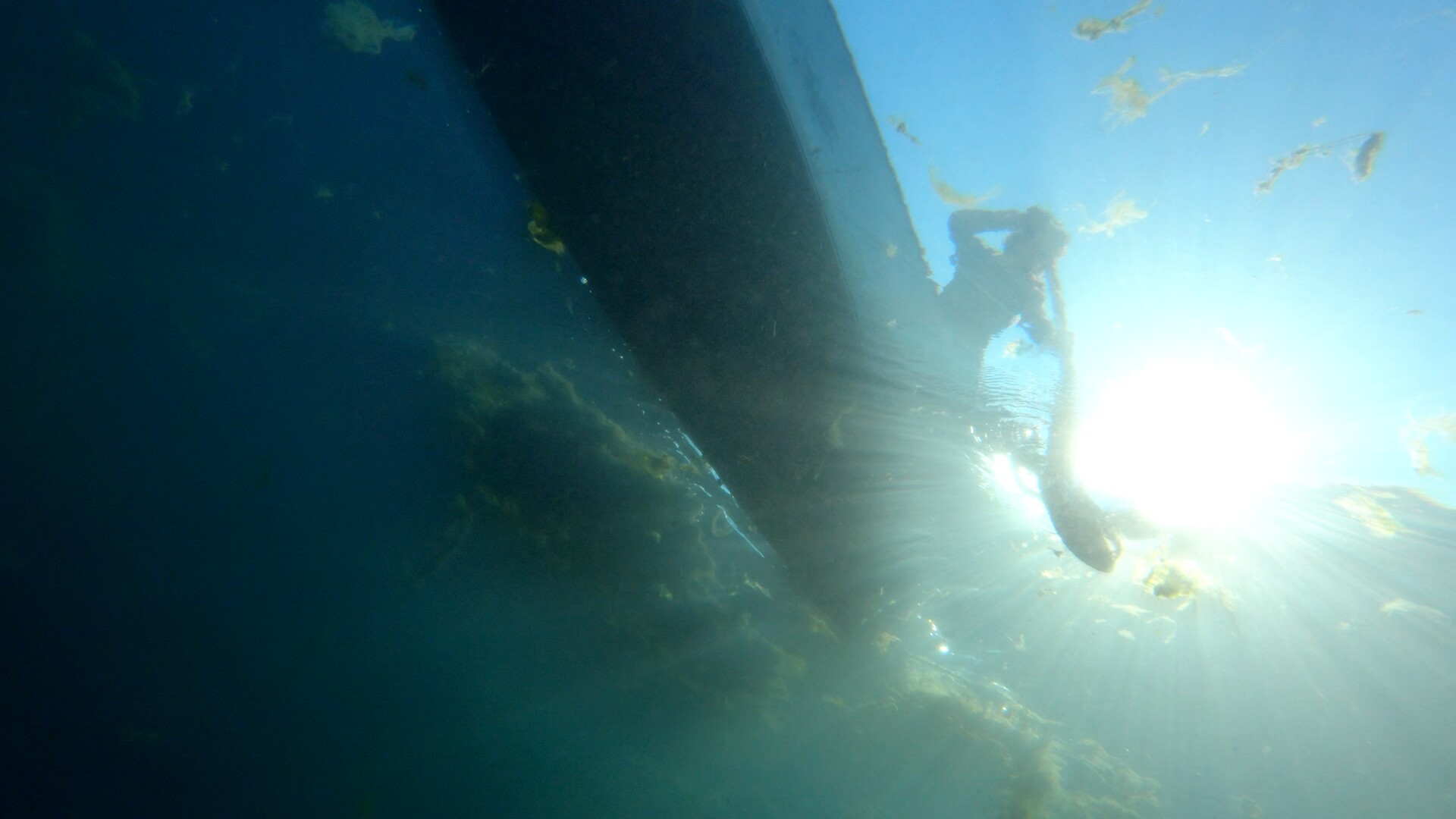 Silhouette of a person swimming below a boat with sunlight filtering through the water and seaweed floating around.